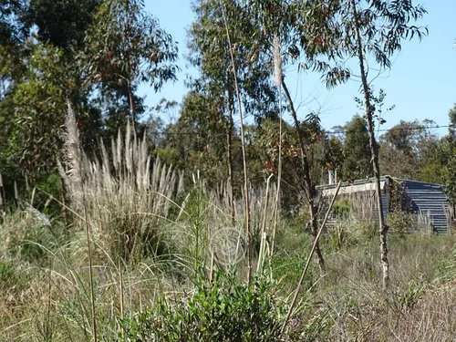 Terreno En La Esmeralda M325 S8 En La Esmeralda