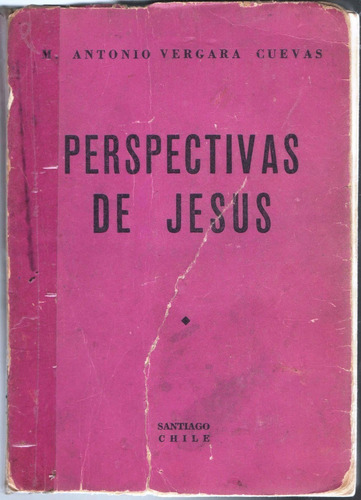 Perspectivas De Jesús   Antonio Vergara Cuevas