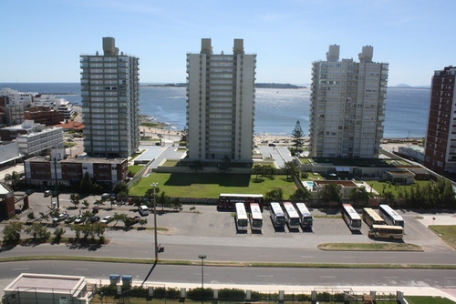 Apartamento En Alquiler Por Temporada De 3 Dormitorios En Playa Brava (ref: Bpv-2094)