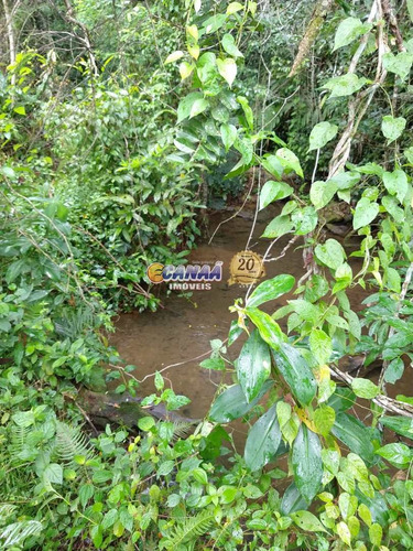 Imagem 24 de 30 de Sitio Em Itariri Com Muita Área Verde, Próximo Ao Centro - V7719