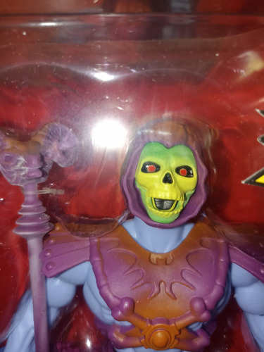 Masters Of The Universe Origins Skeletor Con Screech Exclusi (Usado)