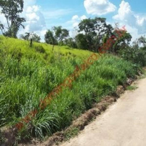 Imagem 5 de 10 de Venda - Terreno - Vila Dainese - Americana - Sp - D4070