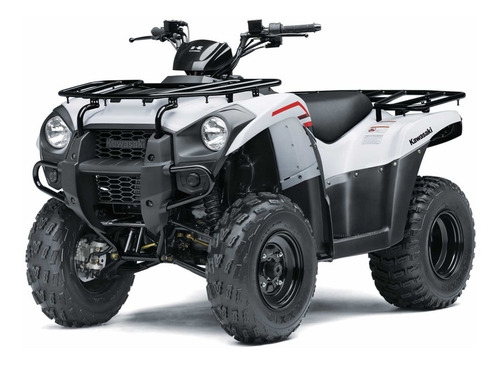 Imagen 18 de 25 de Kawasaki Brute Force 300 2022