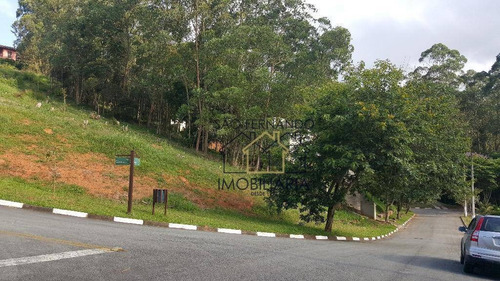 Imagem 2 de 2 de Terreno Residencial À Venda, Parque Das Artes, Embu Das Artes - Te0813. - Te0813