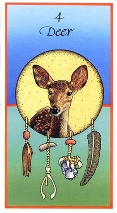 Medicine Cards, Estas Cartas Y Libro Están En Ingles