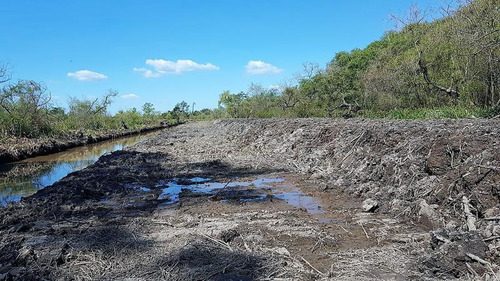 Imagen 4 de 8 de Amarras Para Barcazas En Alquiler. Fracción Sobre Paraná De Las Palmas, Islas Campana