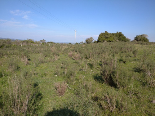 Campo Pintoresco, Con Altura, Cañada