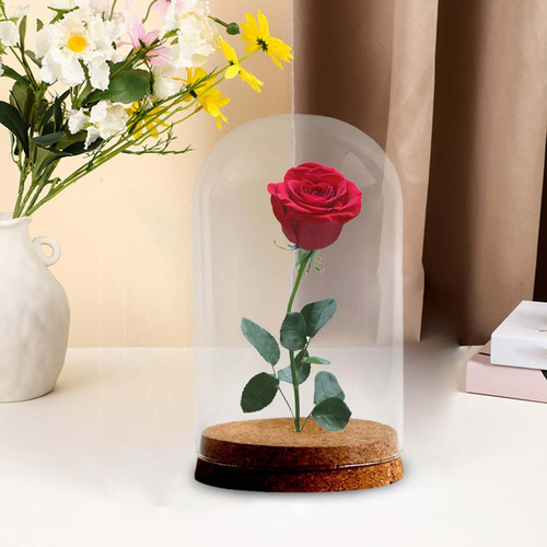 Y Cubierta De Cristal De Flores Preservadas, 10cmx16cm