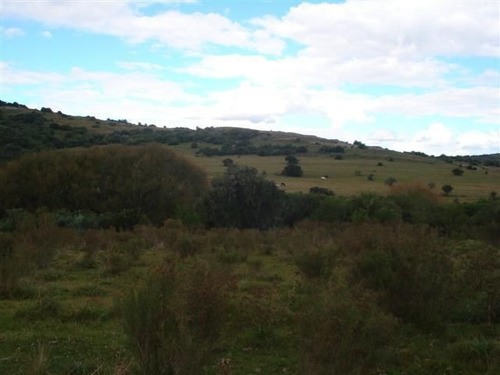 Campo En Venta En Las Cañas