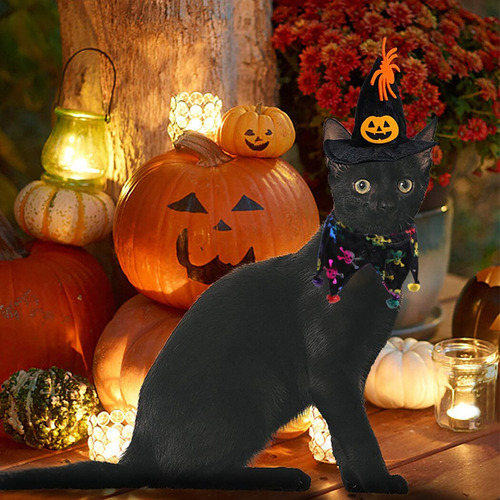 . Bandana Para Halloween Con Forma De Gato, Murciélago,