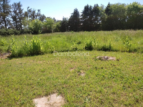 Imagen 16 de 24 de Terreno Fraccion En Venta O Permuta Ubicado En General Rodríguez, G.b.a. Zona Oeste