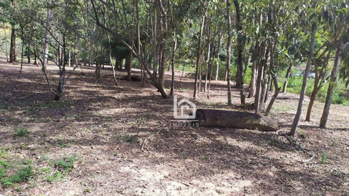 Imagem 13 de 30 de Linda Chácara Em Marechal Floriano Com Área Total De 8642m²! - Ch0004