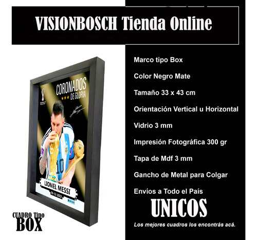 Cuadro Freddie Mercury Arte Pop Street Art Decorativo