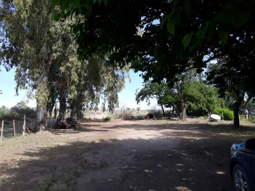 Imagen 9 de 14 de Finca En Las Paredes - 10 Hectareas 1º Regante
