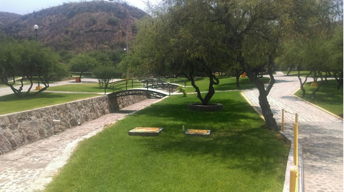 Pasto En Rollo Para  Canchas Deportivas  Jardines Y Parques