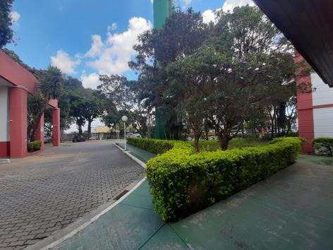 Imagem 4 de 18 de Apartamento No Conjunto Do Bosque - Ven459