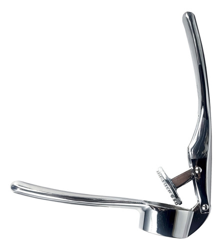 Prensa Ajos Tritura Picador Hudson Acero Inoxidable Bz3