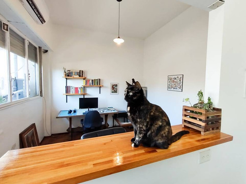 Imagen 7 de 20 de Venta De Departamento En San Telmo