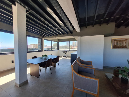 Departamento Estudio, Cerro Barón, Valparaíso.