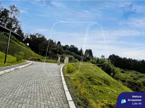Lote Natura Arrayanes Guarne A 5 Min Del Aeropuerto