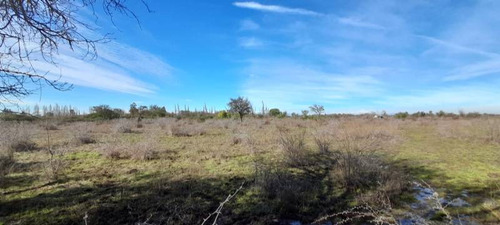 Campo Para Inversión En San Carlos