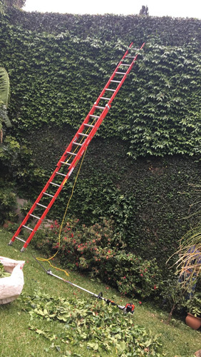 Paisajismo Jardinería Sistemas De Riego Parquizacion Podas