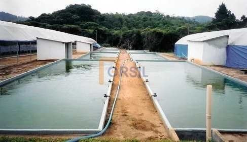 Imagem 9 de 10 de Sítio, Taiaçupeba, Mogi Das Cruzes - R$ 1.75 Mi, Cod: 2105 - V2105