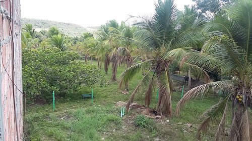 Chácara/sítio Em Esplanada Ba, Com 7 Hectares Com Casa E Rio