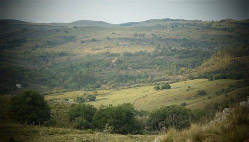 Chacras Sierras De Minas Sobre Ruta 60