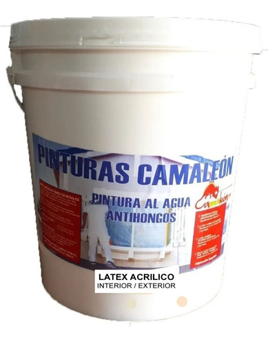 Pintura Látex Acrílico Interior Exterior Antihongos 1lt Aym