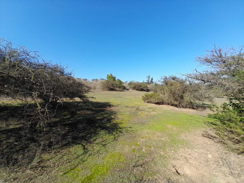 Visite 3 Opciones De Parcelas En Los Laureles (171106)