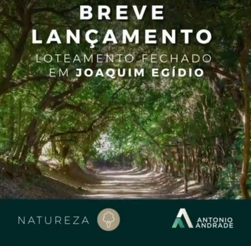 Imagem 2 de 15 de Breve Lançamento Santana Da Lapa Condomínio Fechado Em Joaquim Egídio Lotes A Partir De 600m2 Lugar Maravilhoso - Te00137 - 69742548