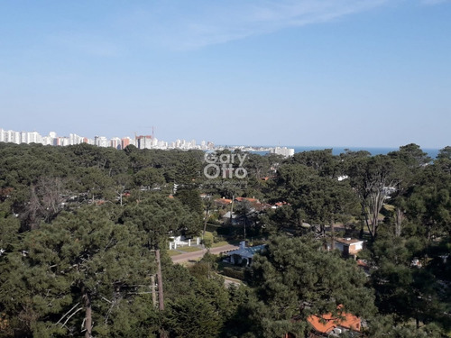 Imagen 3 de 21 de Apartamento En Zona De Roosevelt