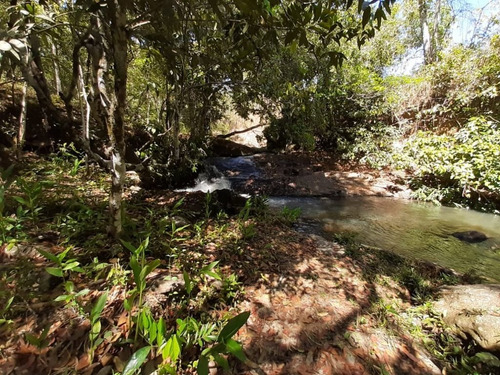 Imagem 1 de 10 de Chácara Com 1 Dormitório À Venda, 20000 M² Por R$ 295.000,00 - Zona Rural - Abadiânia/go - Ch0109