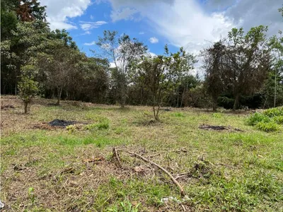 Lote y casalote en venta