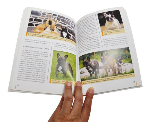 Imagen 2 de 4 de Libro El Bulldog Francés Guía De Referencia