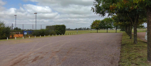 Imagen 6 de 7 de Lote 2450m2 , Entrada De Asfalto , Muy Buena Ubicación