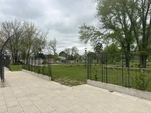 Venta Lote Financiación Avenida Olivos Y Panamericana Excelente Ubicación !!!