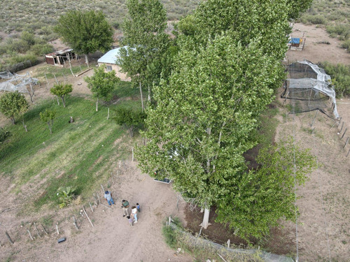 Campo En Venta En Las Catitas, Santa Rosa, Mendoza