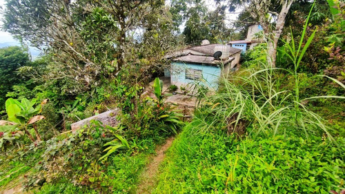 Imagen 4 de 6 de Se Vende Terreno En San Diego De Los Altos Jb