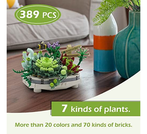 Kit De Bonsáis Suculentos, Regalo Creativo, Construcción De