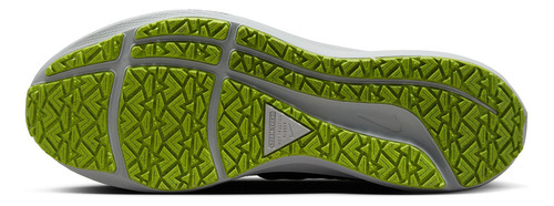 Nike Pegasus 39 Shield 6 Hombre