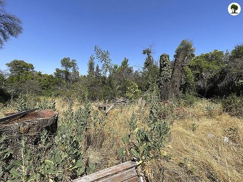 Sitio Para Proyecto Inmobiliario En La Reina