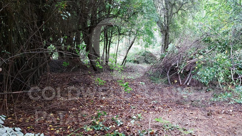 Imagen 2 de 17 de Venta Lote/terreno 1500m2 Selva Triste, Villa La Angostura