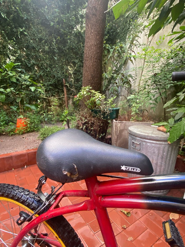 Bicicleta Tomas Clásica Rodado 20 Para Niños 6+ Años Hermosa Blanco S (Usado)