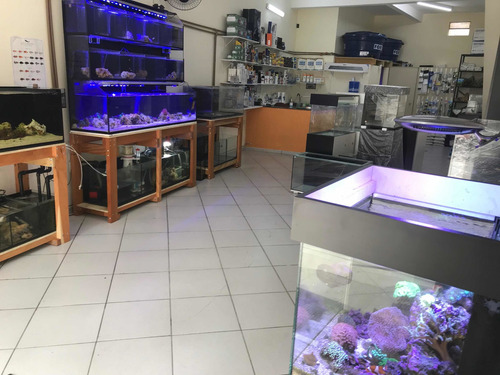 Aquario De 200 Litros 1.00x40x50 Vidro 8mm C/ Sump