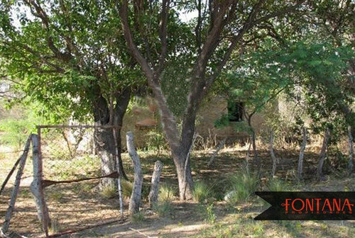 Imagen 3 de 6 de Campo En Venta En Luján