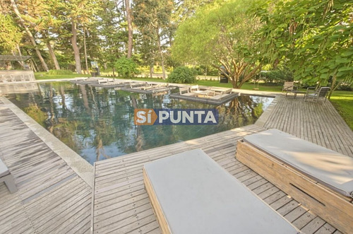 Imagen 20 de 21 de Apartamento En Alquiler, 1 Dormitorio Y Medio