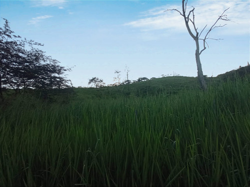 Venta Lote N°6 En Parcelación Campestre Dapa