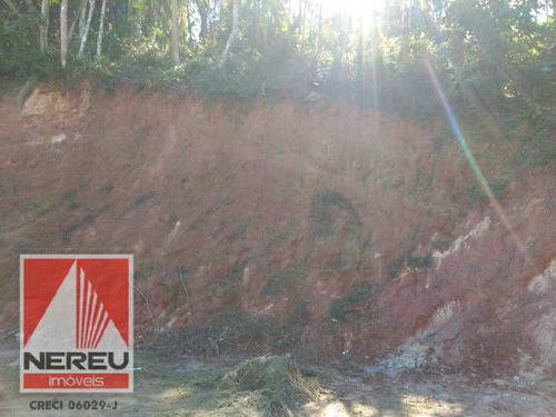Imagem 6 de 6 de Terreno Próximo Do Centro - 1042